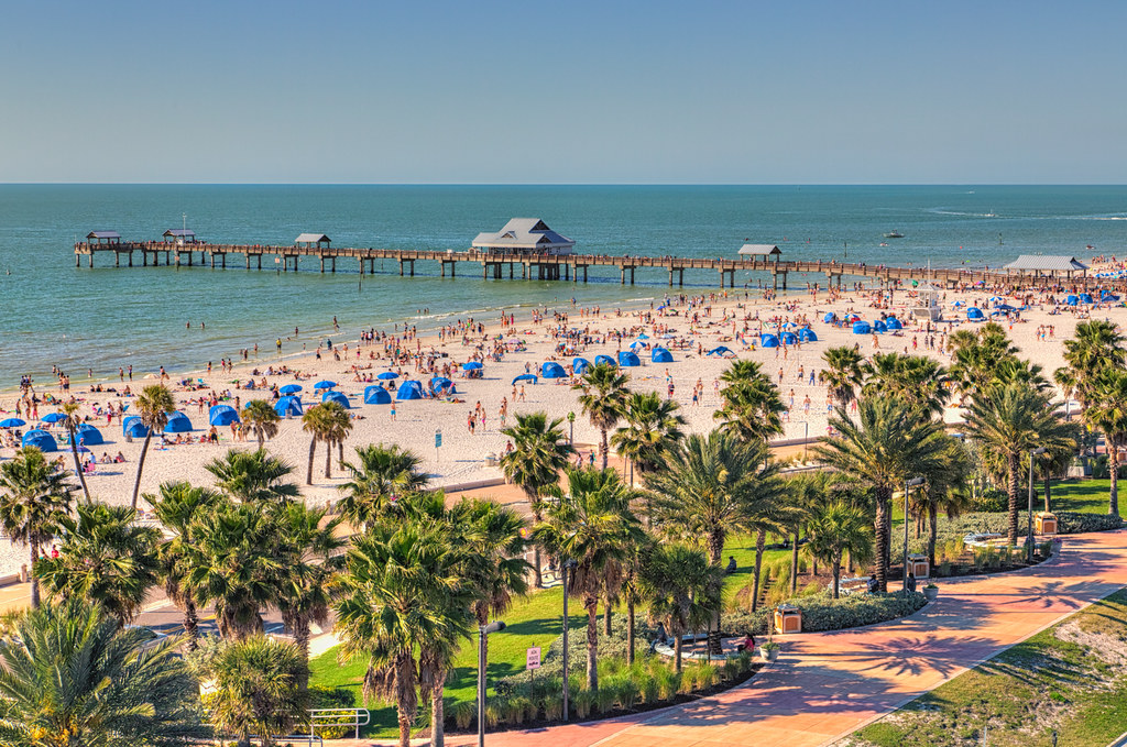 Palm trees, beach, and ocean.