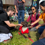 USF’s Center for Student Well-Being helps students paws, relax at end of the semester