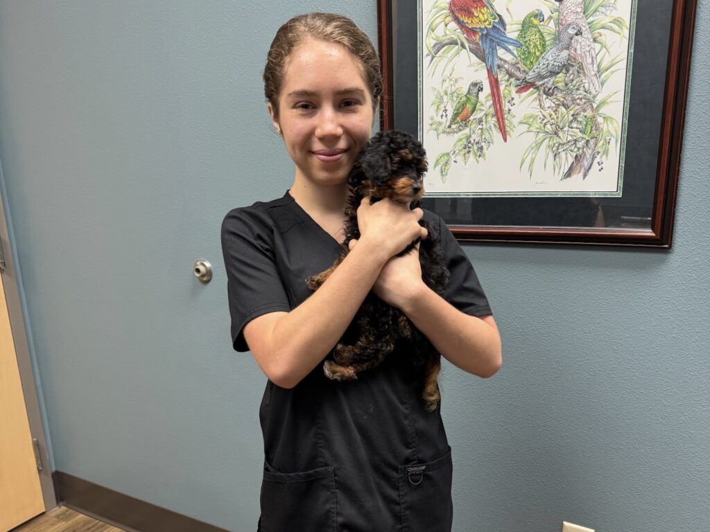 This is a picture of Baylee Aguilar holding up a puppy at Valrico Animal Clinic. Image by Lupe Aguilar