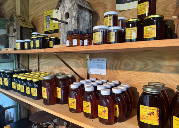 Several jars and bottles of honey sit on shelves for sale inside the Bee Shack. 