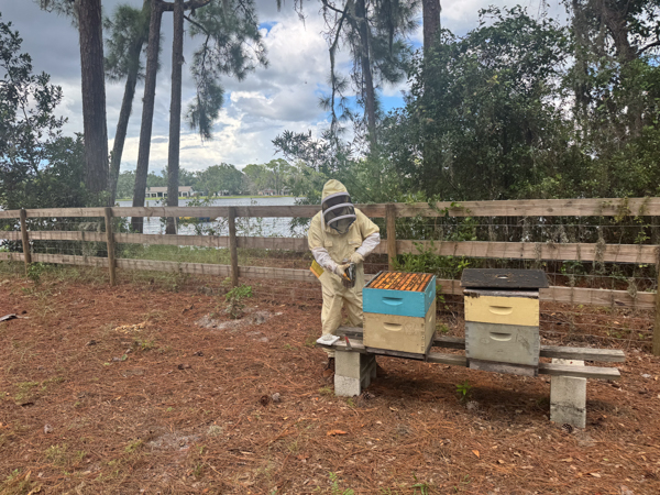 Briana Charton stands next to an open bee hive wearing a bee suit and holding a hive smoker.