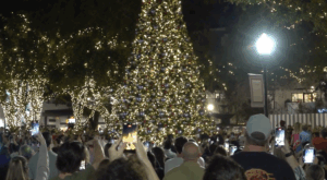 Z News: Thursday, November 27