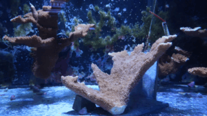 ZNEWS: Thursday, Nov. 6, 2025