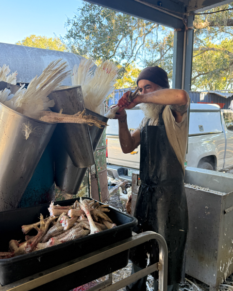 Malloy cuts the feet off the turkeys. He's in a bloodied apron and T-shirt thats ripped at the arm.