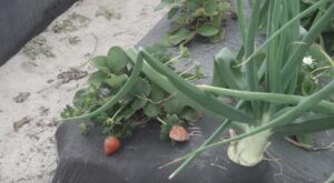 Z News: Thursday, Feb. 26, 2026