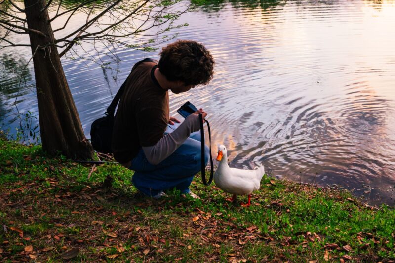 Abraham kneeling next to a pond pointing his camera towards a duck next to him.