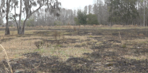 Z News: Wednesday, Mar. 4, 2026