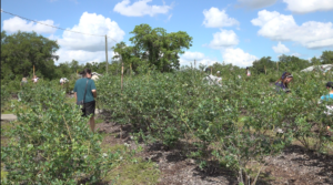 Z News: Wednesday Apr. 22, 2026