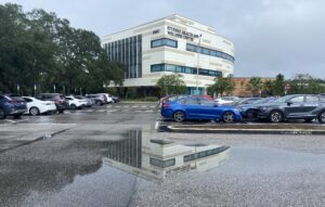 USF Experts: Dengue fever outbreak is cause for concern, not panic