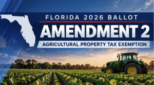 What Amendment 2 means for Florida