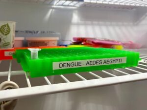 Managing mosquitos during Dengue outbreak